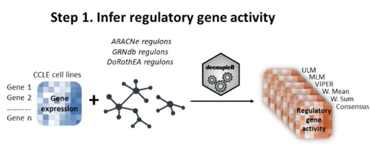 Cosmin's paper on using Gene Regulatory Networks to predict gene essentiality in cancer