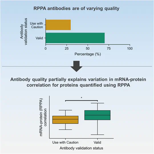 Swathi's paper on the influence of antibody quality on mRNA-protein correlations