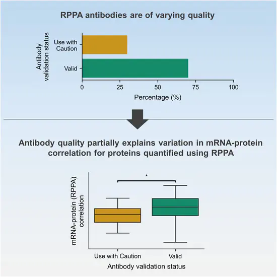 Swathi's paper on the influence of antibody quality on mRNA-protein correlations