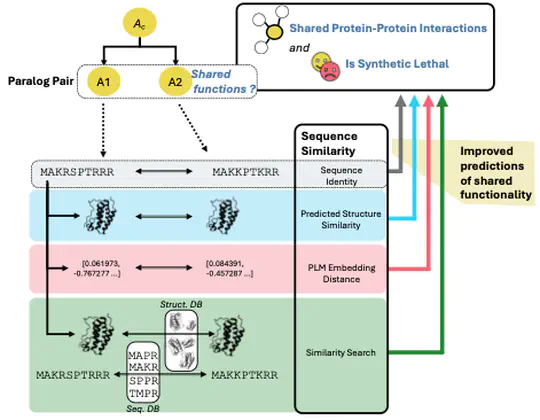 Olivier's paper evaluating alternative protein representations for predicting shared paralog functions